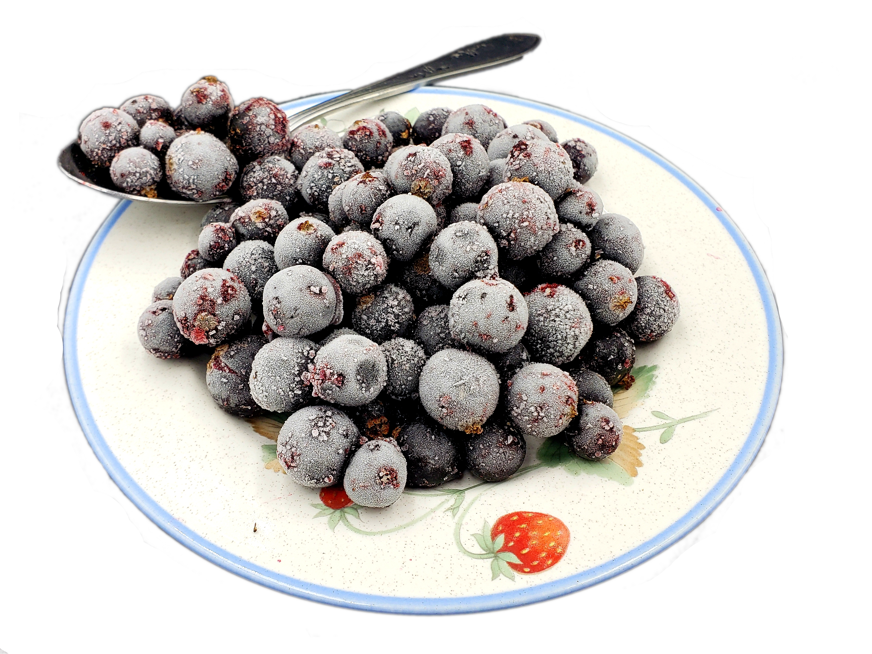 BLACKCURRANT-on-a-dish