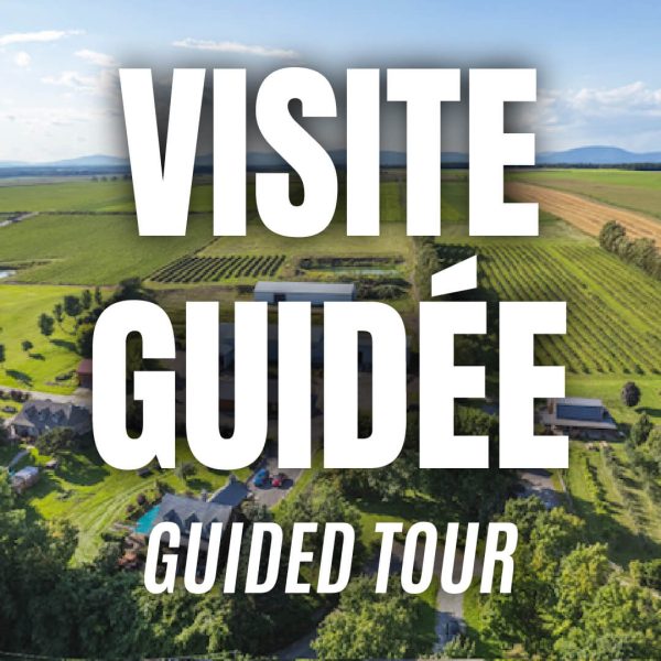 Visite guidée - Guided Tour